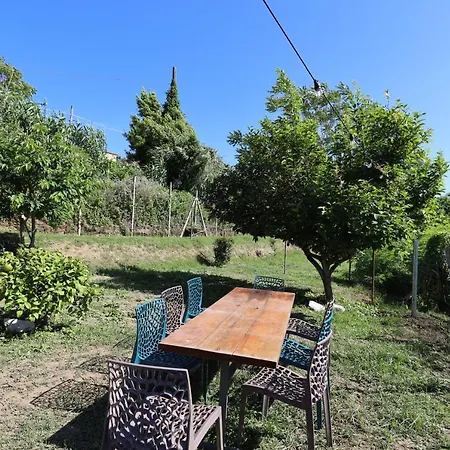 Paradisea * Bacoli