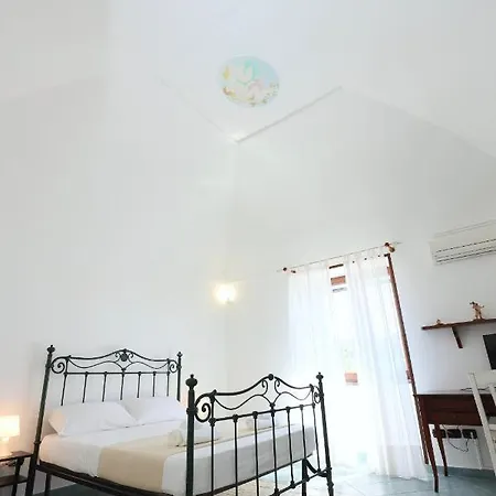 Paradisea Bacoli